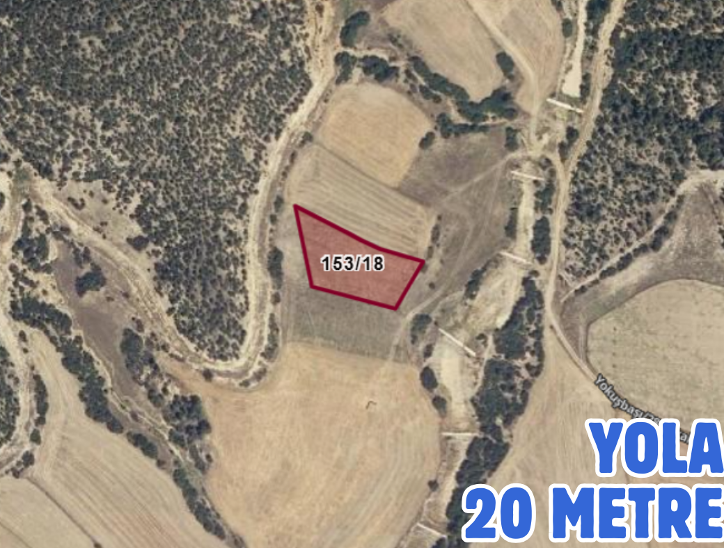 DENİZLİ BOZKURT BAKLAN KUYUCAK 3.000 M² TARLAMIZ SATILIKTIR - DENİZLİ BOZKURT fotoğraf 2